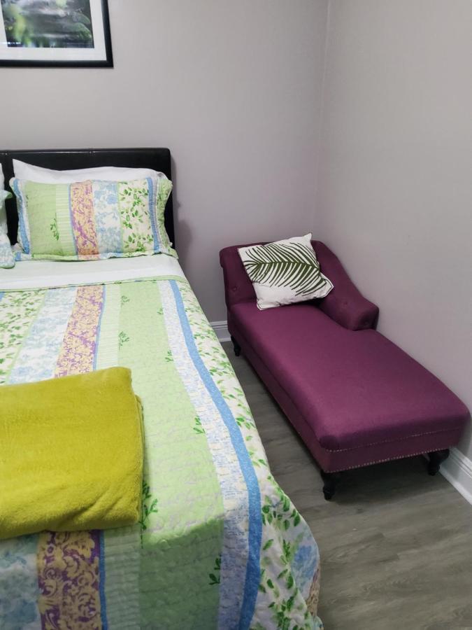 Beautiful Apartment Close To Everything Tampa Zewnętrze zdjęcie